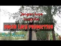 Download Lagu HAYYUL HADI / PUJA SYARMA Lirik..