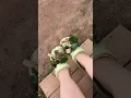 RENFAIRE CROCS