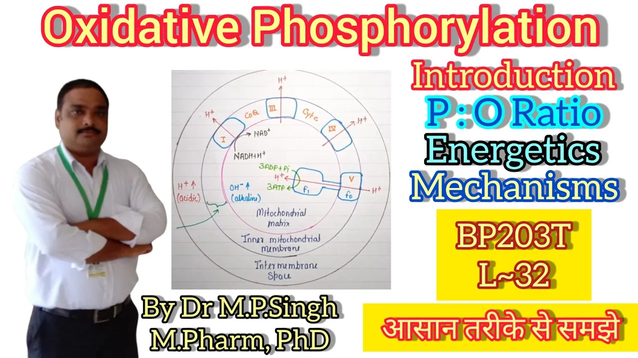 Oxidative Phosphorylation | Chemiosmotic Hypothesis | P:O Ratio | Biochemistry | BP203T | L~32