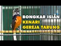 Download Lagu MURAI BATU BLOROK JUARA GACOR BONGKAR ISIAN KENARI GEREJA TARUNG COCOK UNTUK MASTERAN MURAI PASTOL