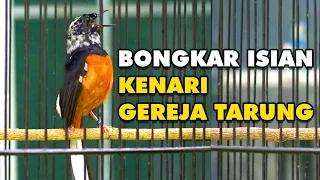 Download MURAI BATU BLOROK JUARA GACOR BONGKAR ISIAN KENARI GEREJA TARUNG COCOK UNTUK MASTERAN MURAI PASTOL MP3