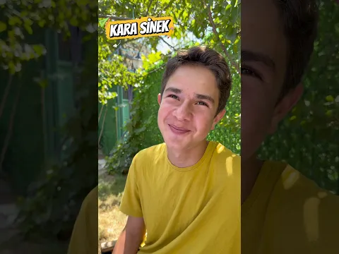 Böceklere sorduk!
