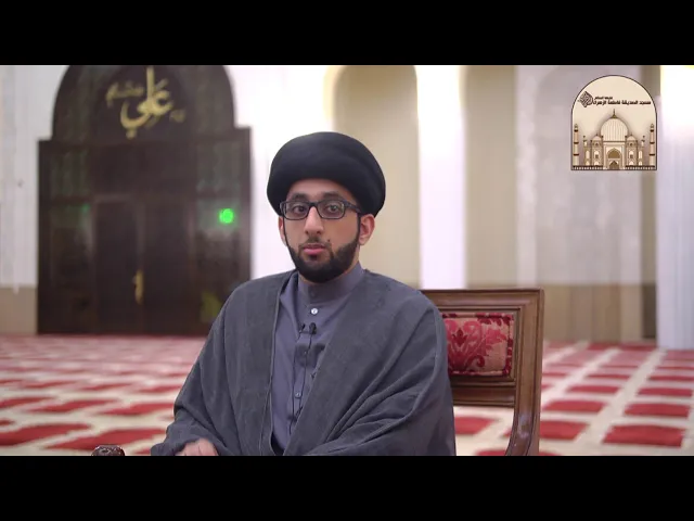 ⁣حبوب منع الحمل - سماحة السيد موسى العلي