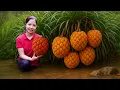 Download Lagu Harvesting Wild Water Pineapples in Forest \u0026 Bringing Them to Sell at Market | May - Free Bushcraft