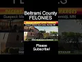 Recent Felony Level Charges In Beltrami County Court