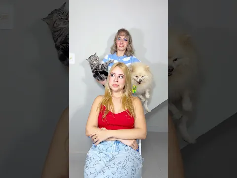 Gato ou cachorro? Qual você escolheria? 😍🐱🐶