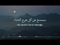 Download Lagu Ke Şevkil Leyali - Mohammed Alomari|كشوق الليالي - محمد العمري  (Tercümeli İlahi/Neşid)