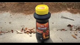 Ortho Orthene Fire Ant Killer Review