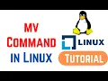 Linux Command Line Basics Tutorials - Command in Linux