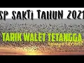Download Lagu SP walet Terbaik 2021 | penarik walet tetangga I anti zonk