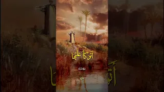 وما تلك بيمينك يا موسى شعبان الصياد قران كريم سورة طه 