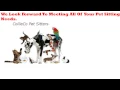 Best Pet Sitter Columbus Ga Choosing Your Next Pet