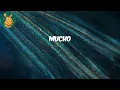 Gradur (Lyrics) - Trucs de choses