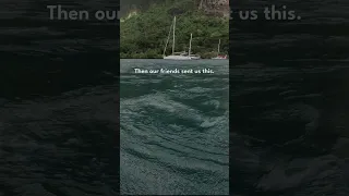 We Were Supposed to Sail to Moorea Today…