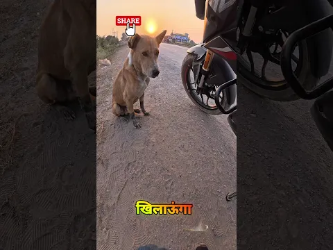 😢 मासूम Dog की आँखों ने रोक लिया मुझे 💔 खाना खिलाए बिना नहीं जा पाया 🥺🐶 #shorts #dog #help #humanity