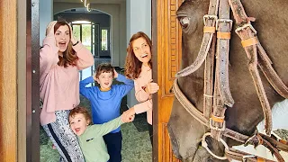 جبت حصاننا  شوكولات  البيت لأول مرة        رفضت تغادرنا    دندنها