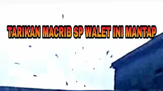 tarikan magrib sp black phoenix revisi bm original