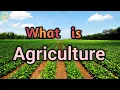 What is Agriculture Definition of Agriculture