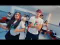 VINGANÇA - Void e Emilly Vick (clipe) 💚🩷