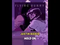 Download Lagu Justin Bieber - Hold On - Lirik dan Terjemahan Bahasa Indonesia