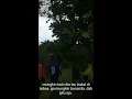Download Lagu pelajaran dari baju biru viral di tiktok