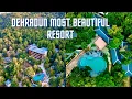 Download Lagu Dehradun Most Beautiful Resort❤️ #youtube #ThePunarnavaWellnessresort#dehradun