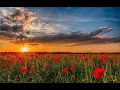 Download Lagu Baha'i Prayer, Yá Alláhu'l-Mustagháth (Lucíe Dubé)