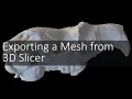 Exporting a Mesh from 3D Slicer Introduction to Digital Preparation 12