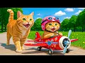 Download Lagu Mama Cat Trims Fur on the Farm and Makes Tiger Hat For Kittens At Home🐾🎩🐯