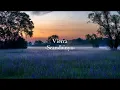 Download Lagu Vierra Seandainya || (Lirik Lagu)