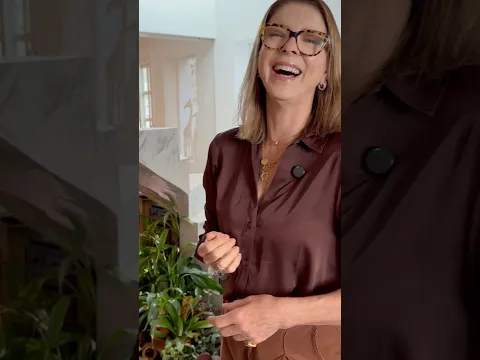 Casa para se inspirar e decorar com  boas energias