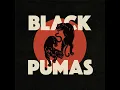 Black Pumas - Fire (HD)