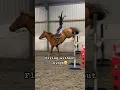 Download Lagu Flying😂ctto:estreja.subajeva #trending #horse #horseriding #fyp #viralshorts #amazing #equestrian