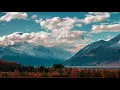 Imagined Herbal Flows - Boardwalk
