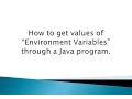 How to get values of Environment Variables through a Java program