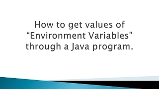 How to get values of Environment Variables through a Java program