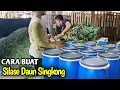 Download Lagu Cara Pembuatan Silase Paling Mudah Dan Praktis