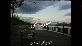 تلاوة هادئة سورة يس القارئ عمر ضياء الدين 