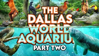 Zoo Tours The Dallas World Aquarium PART TWO