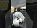 Come with me to get the Jumbo Cinnamoroll from Build a Bear Workshop