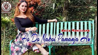 Download ANITA MANULLANG | HODO NA BOI PAMANJA AU ( OFFICIAL MUSIC VIDEO  ) CIPT SERLI NAPITU MP3