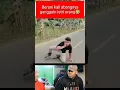 Download Lagu Video lucu bikin ngakak 🤣 Ganggu istri orang😂 #videolucu #ngakak #lucu #komedialayamin #funny
