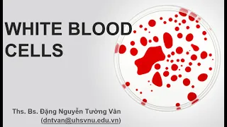 medical physiology hematology blood physiology leukocytes