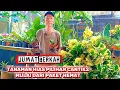 Lagu JUMAT BERKAH ‼️TANAMAN HIAS PILIHAN CANTIK2 MULAI DARI PAKET HEMAT