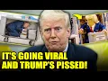 COWARDLY TRUMP Memes TAKE OVER THE INTERNET