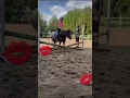 Lagu Gister gesprogen op me verzorg pony❤️❤️