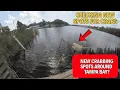 Where Are The Crabs In Tampa Bay Checking NEW Spots For Future Success