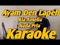 Download Lagu Ayam Den Lapeh Karaoke Nada Pria Versi KORG PA700