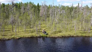 ЛЕТАТЕЛЬНЫЙ АППАРАТ ПРЯМО НАД ЛОДКОЙ. РЫБАЛКА НЕ ПО ПЛАНУ. СЛОМАЛ ЛЮБИМЫЙ СПИННИНГ.