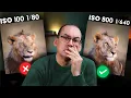 8 MOST COMMON BEGINNER MISTAKES TO AVOID and yes I made them all